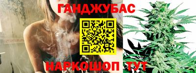 сатива Бугуруслан
